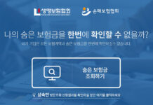 올해 ‘숨은보험금’ 12조 1000억원…확인하고 꼭 찾아가세요