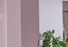 추운 계절, 실내 공기 질 관리의 중요성 green plant on blue ceramic pot