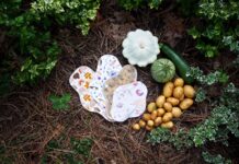 “생리 전만 되면 살이 찌는 이유”…몸이 아니라 ‘호르몬’ 때문입니다 a butterfly on a flower