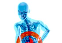 “식후에 배가 더 아파요”… ‘담낭’은 말이 없는 장기지만, 신호는 분명합니다 a skeleton with a red circle around it's stomach