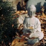 “여성 건강, 변화하는 트렌드 속 작은 실천으로 지킨다” white ceramic buddha figurine on brown dried leaves