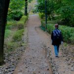 일상 속 스트레스, 작은 변화가 해답… 실천 가능한 관리법 주목 a person walking down a path in the woods