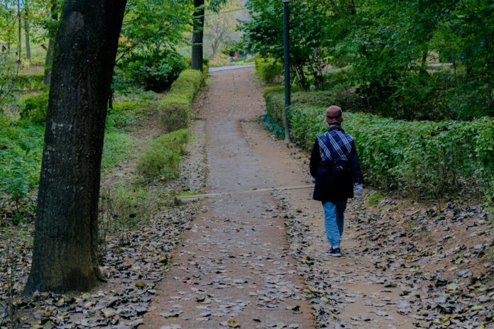 Photo by sq lim a person walking down a path in the woods