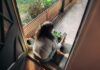 만성피로, 일상 속 작은 변화로 극복한다… 한국인 건강 루틴 새롭게 주목 Woman sitting on balcony with smartphone