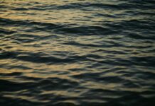명상, 숨 고르기와 마음챙김으로 일상 스트레스 해소 Rippling dark water reflecting golden hour light